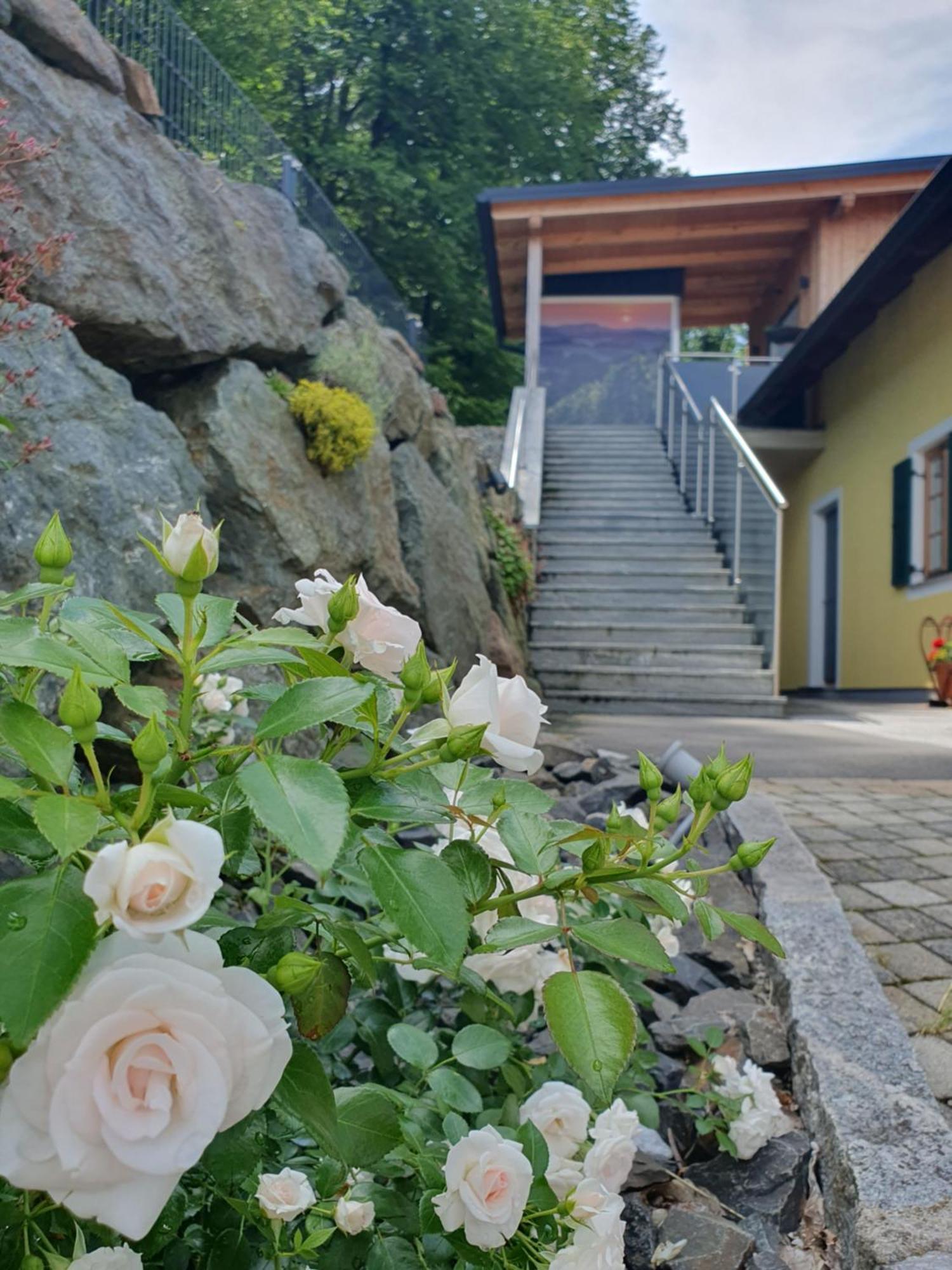 Apartmán Weingut Pugl Leibnitz Exteriér fotografie